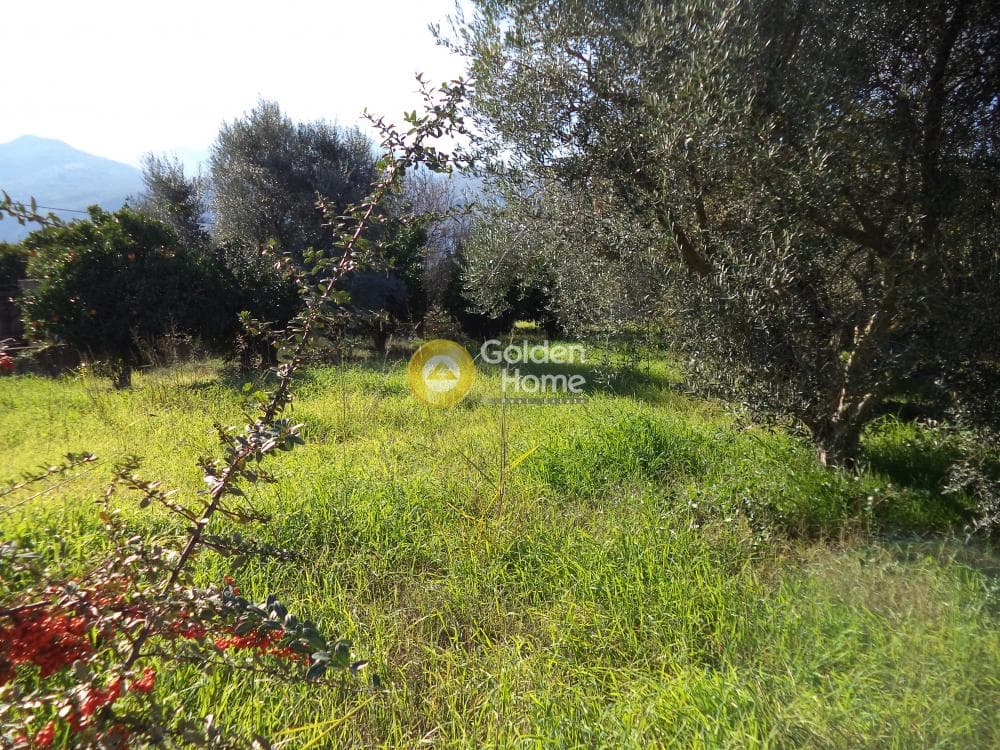 House in Rizomilos, Diakopto — Photo 9 of 18