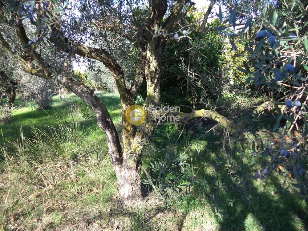 House in Rizomilos, Diakopto — Photo 11 of 18