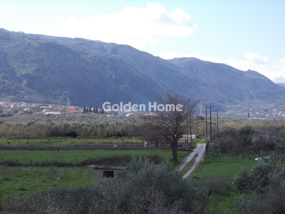 House in Rizomilos, Diakopto — Photo 13 of 18