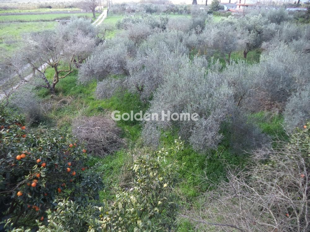 House in Rizomilos, Diakopto — Photo 16 of 18