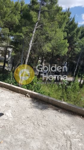 Μονοκατοικία στην Μεγάλα Σχοινία Α, Αχαρνές — Φωτογραφία 10 από 11