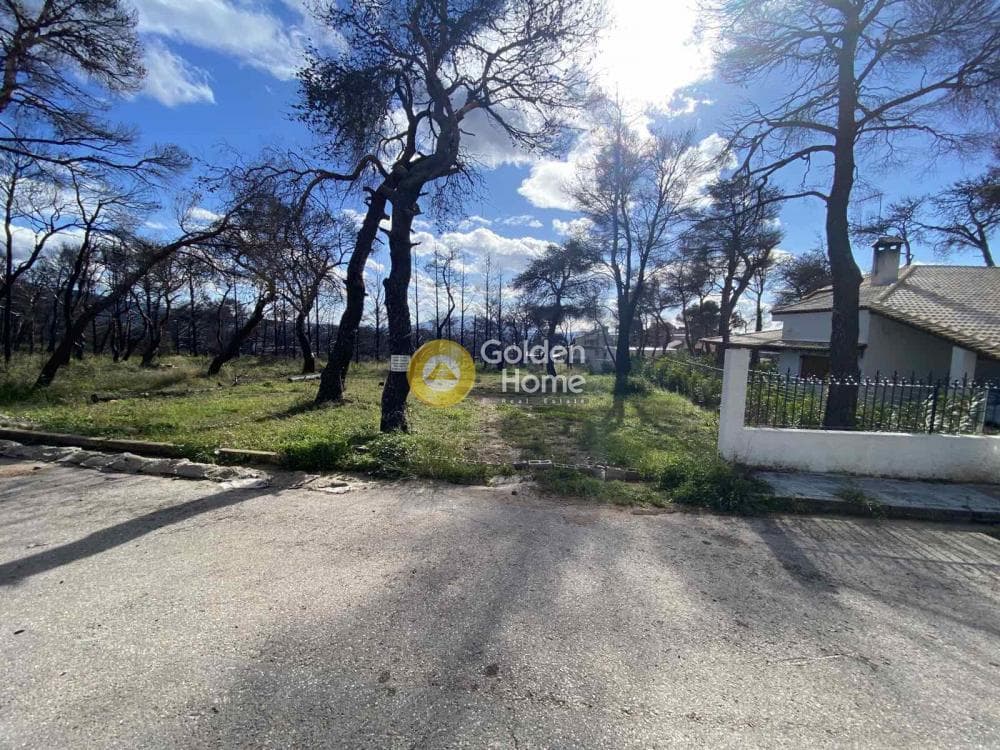 Οικόπεδο στην Μεγάλα Σχοινία Α, Αχαρνές — Φωτογραφία 3 από 4