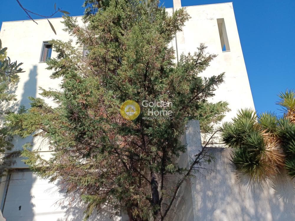 Μονοκατοικία στην Σελιανίτικα, Ερίνεο — Φωτογραφία 35 από 118