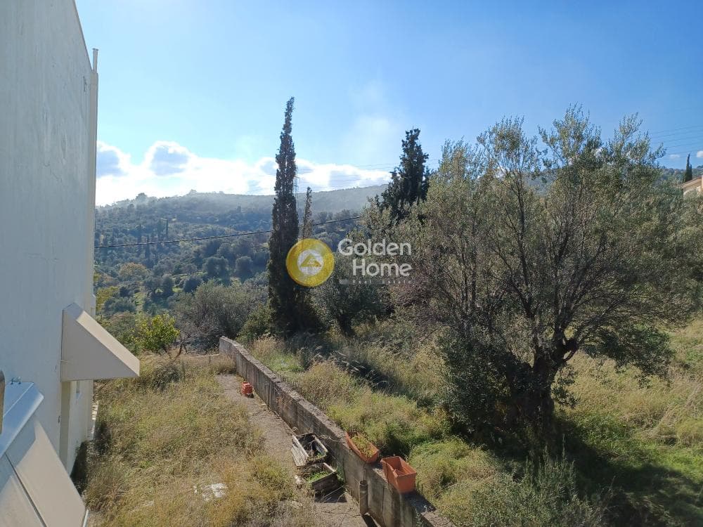 Μονοκατοικία στην Σελιανίτικα, Ερίνεο — Φωτογραφία 84 από 118