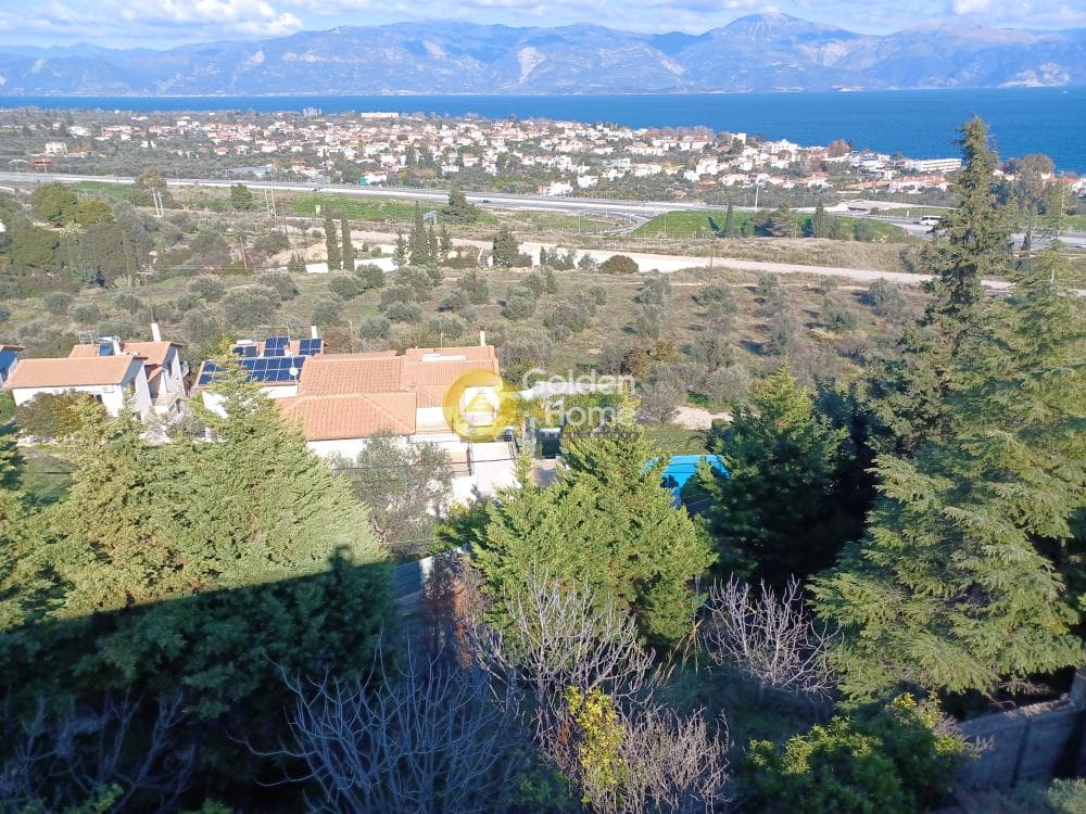 Μονοκατοικία στην Σελιανίτικα, Ερίνεο — Φωτογραφία 89 από 118