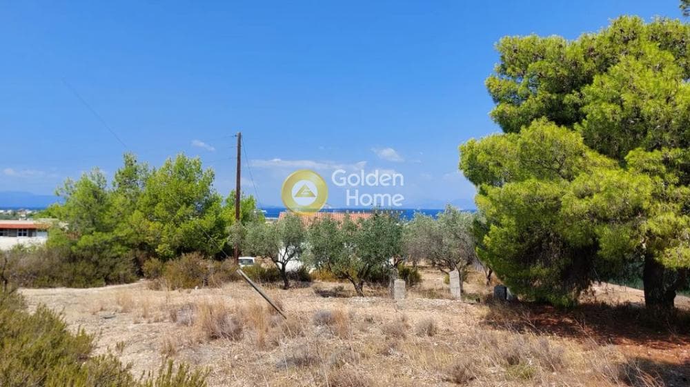 Building Plot in Kipseli, Aegina — Photo 1 of 8