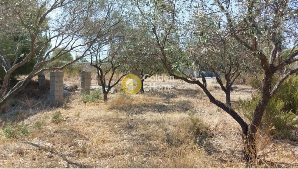 Building Plot in Kipseli, Aegina — Photo 5 of 8