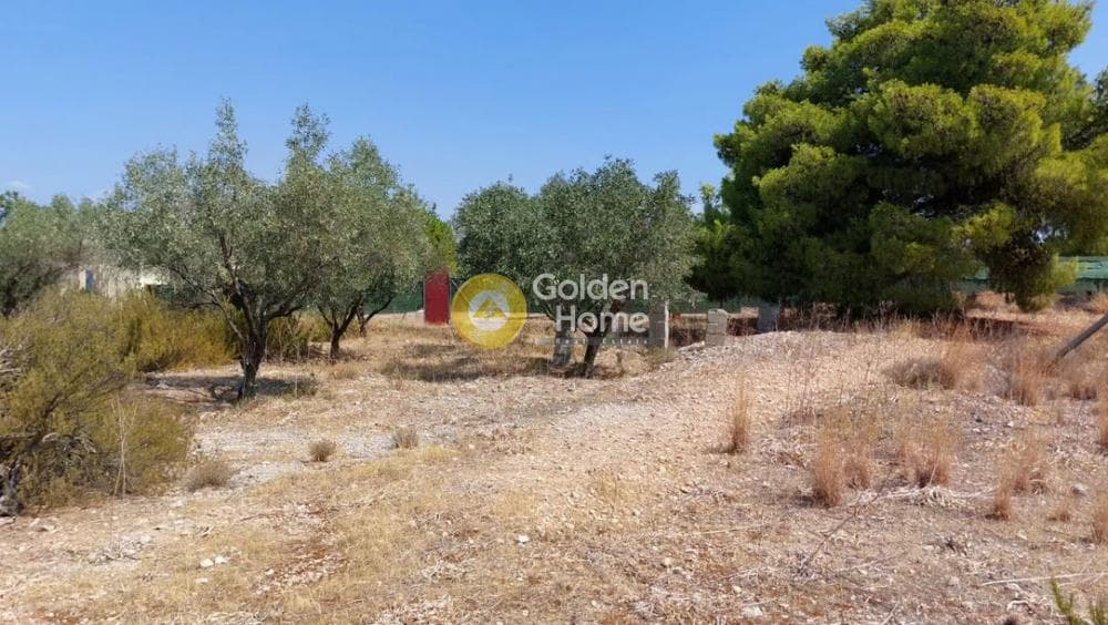 Building Plot in Kipseli, Aegina — Photo 6 of 8