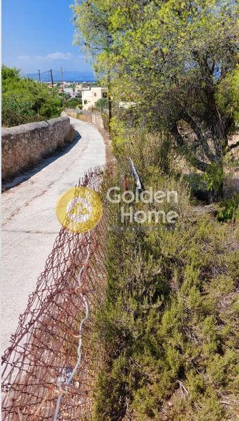 Building Plot in Kipseli, Aegina — Photo 8 of 8