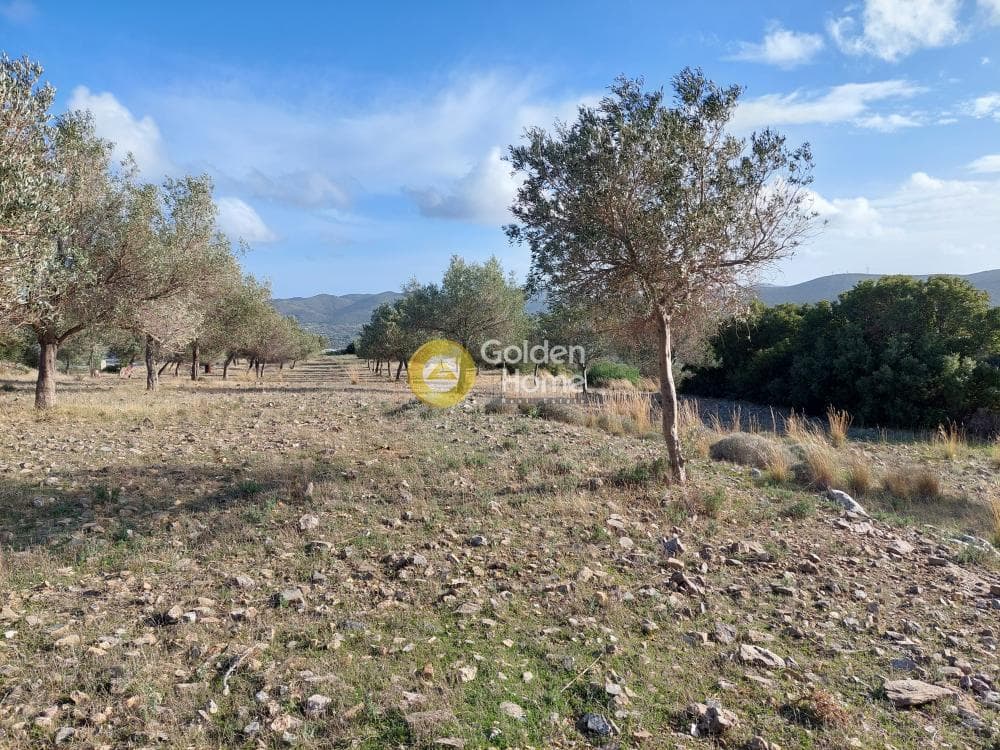 Οικόπεδο στην Βένιο Δασκαλειού, Κερατέα — Φωτογραφία 8 από 14