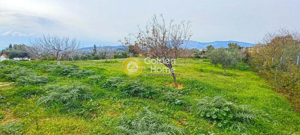 Building Plot in Kato Charvati, Pallini — Photo 2 of 2