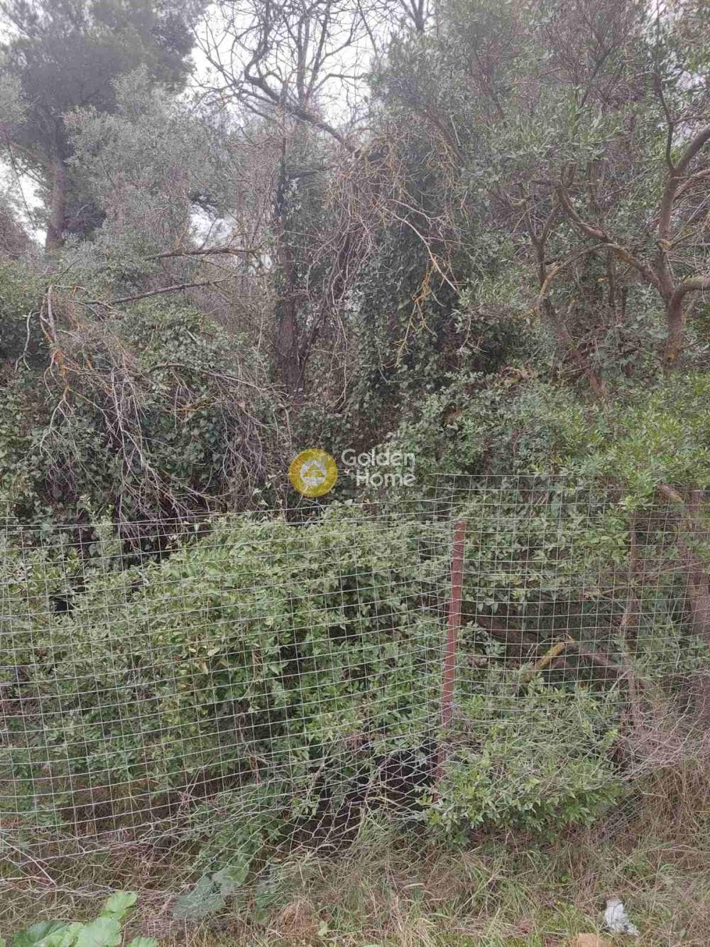 Οικόπεδο στην Πάτημα, Χαλάνδρι — Φωτογραφία 8 από 9
