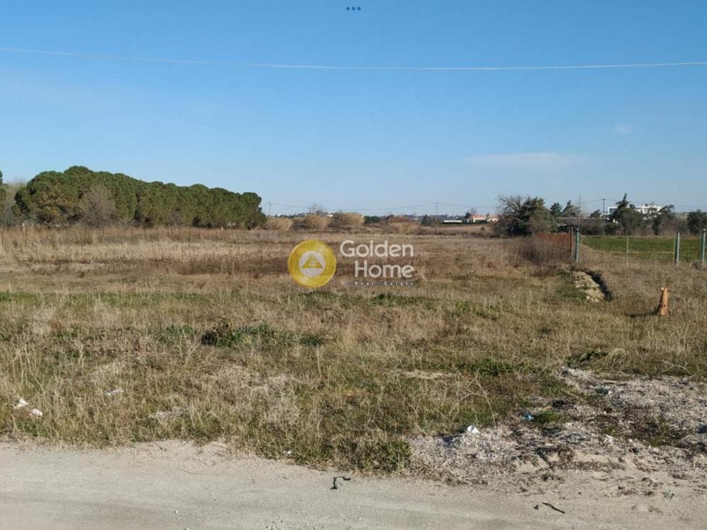 Αγροτεμάχιο στην Κέντρο, Επανομή — Φωτογραφία 2 από 10