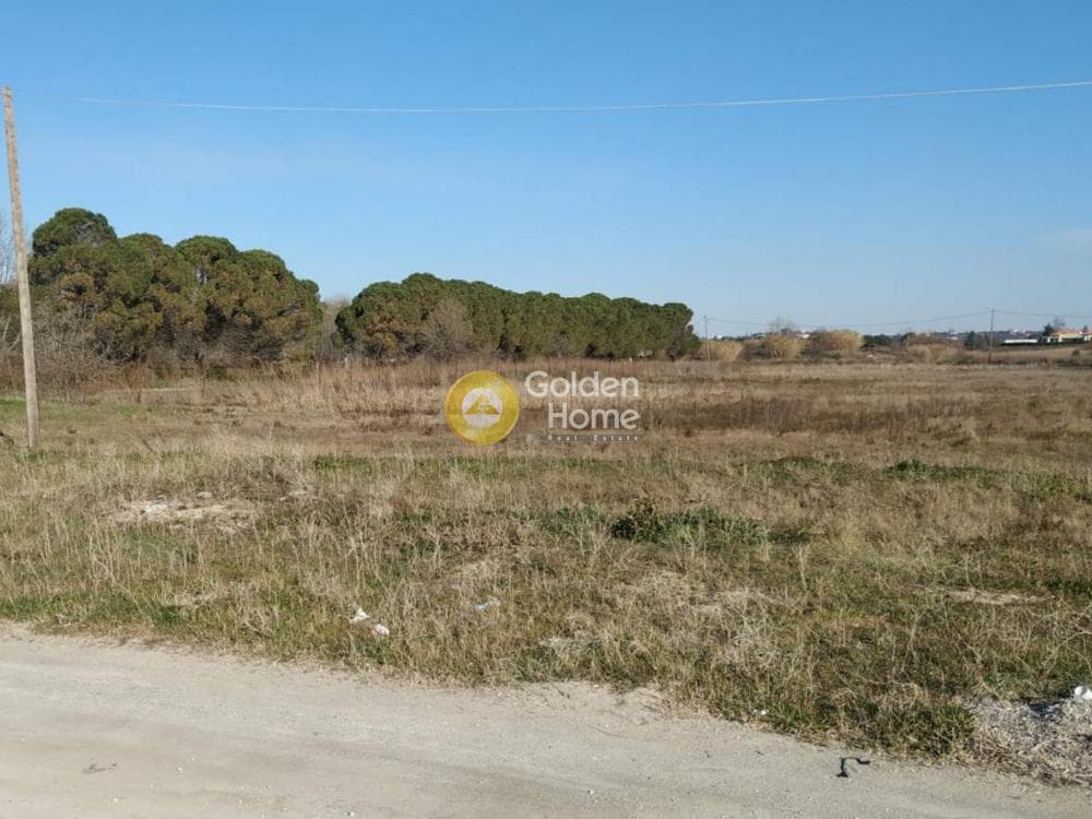 Αγροτεμάχιο στην Κέντρο, Επανομή — Φωτογραφία 3 από 10