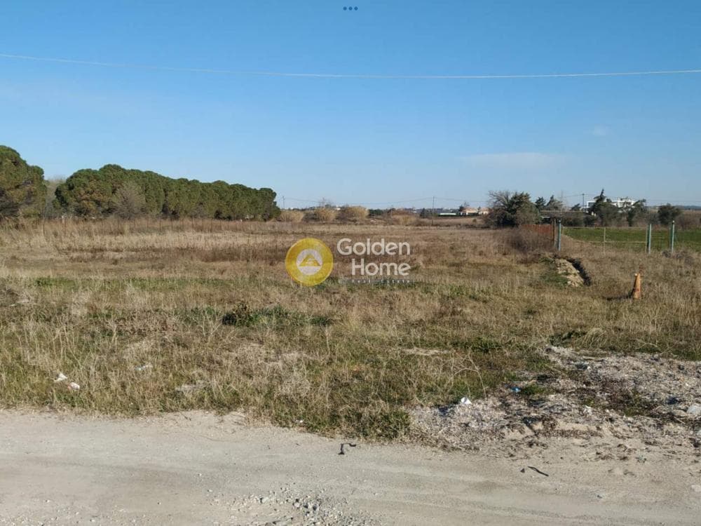Αγροτεμάχιο στην Κέντρο, Επανομή — Φωτογραφία 5 από 10