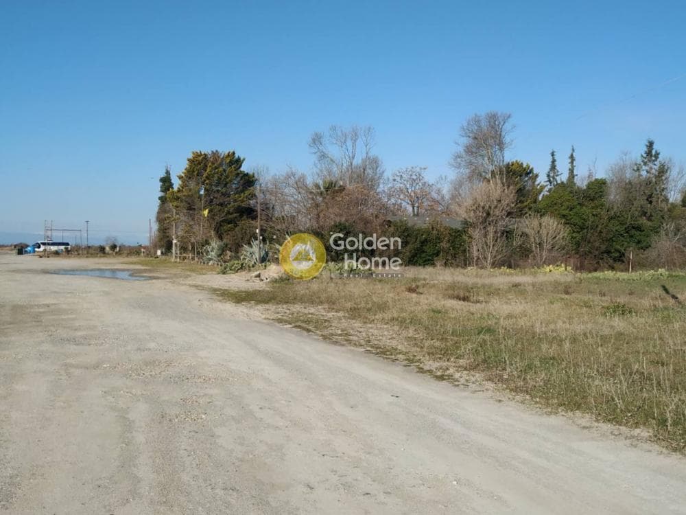 Αγροτεμάχιο στην Κέντρο, Επανομή — Φωτογραφία 7 από 10