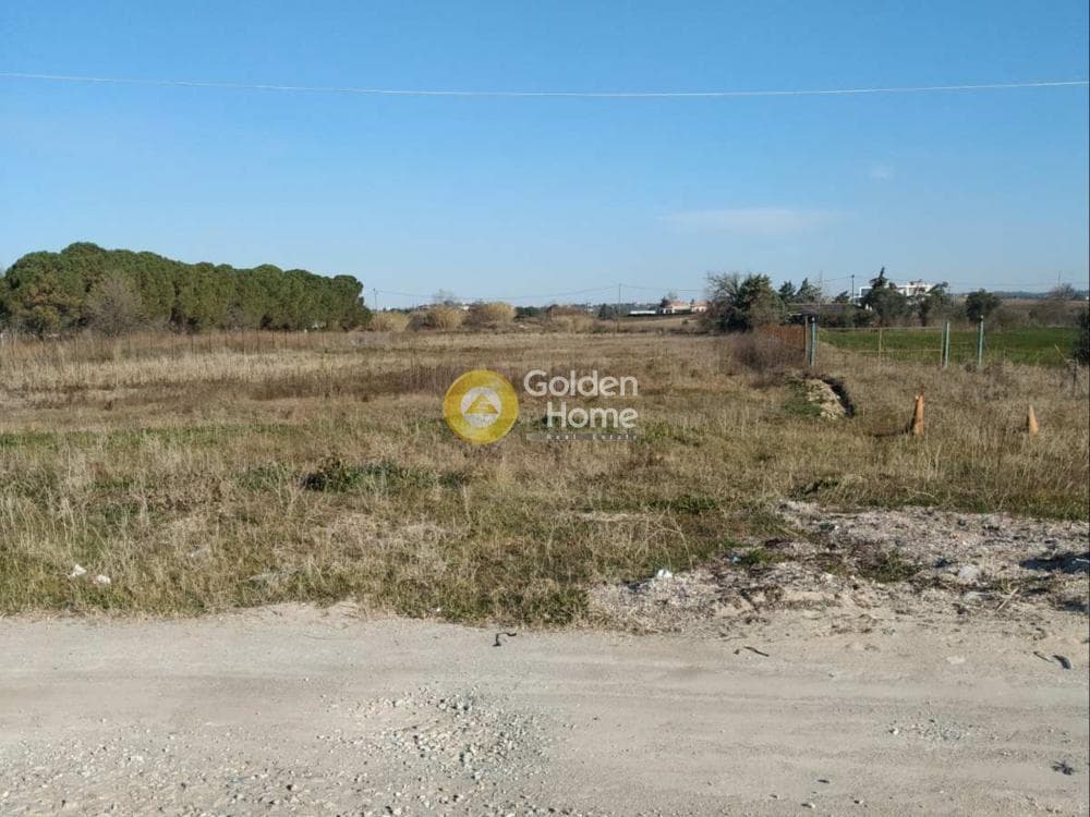 Αγροτεμάχιο στην Κέντρο, Επανομή — Φωτογραφία 8 από 10