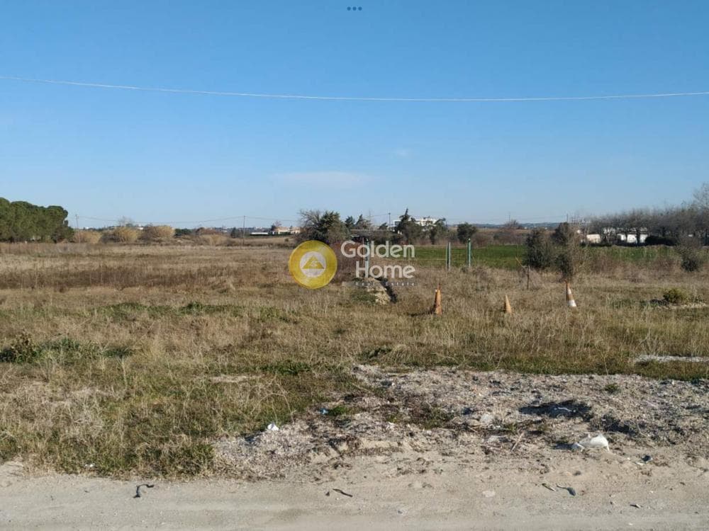 Αγροτεμάχιο στην Κέντρο, Επανομή — Φωτογραφία 9 από 10