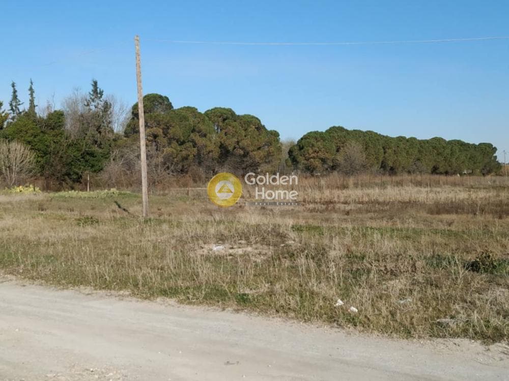 Αγροτεμάχιο στην Κέντρο, Επανομή — Φωτογραφία 10 από 10