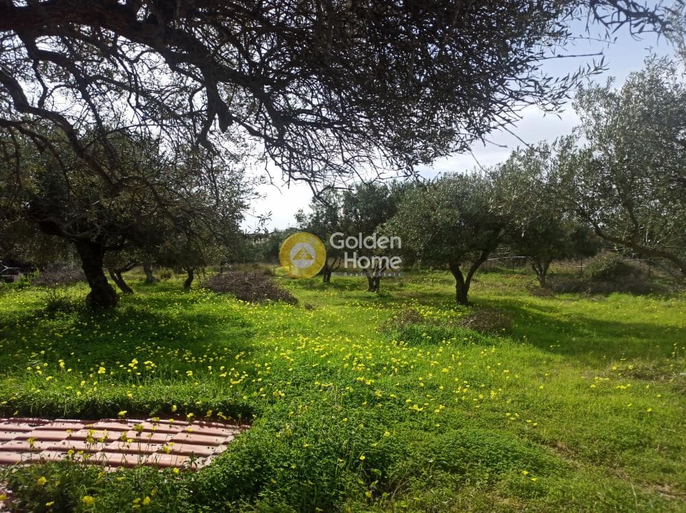 Οικόπεδο στην Κέντρο, Γούβες — Φωτογραφία 1 από 9