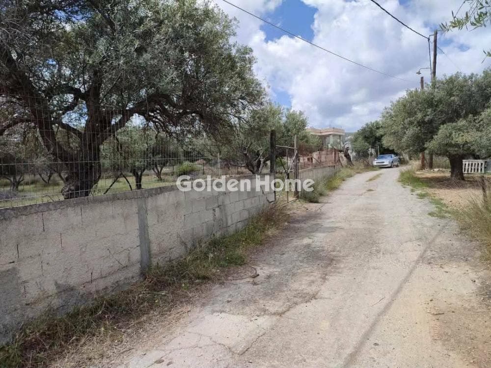 Οικόπεδο στην Κέντρο, Γούβες — Φωτογραφία 8 από 9
