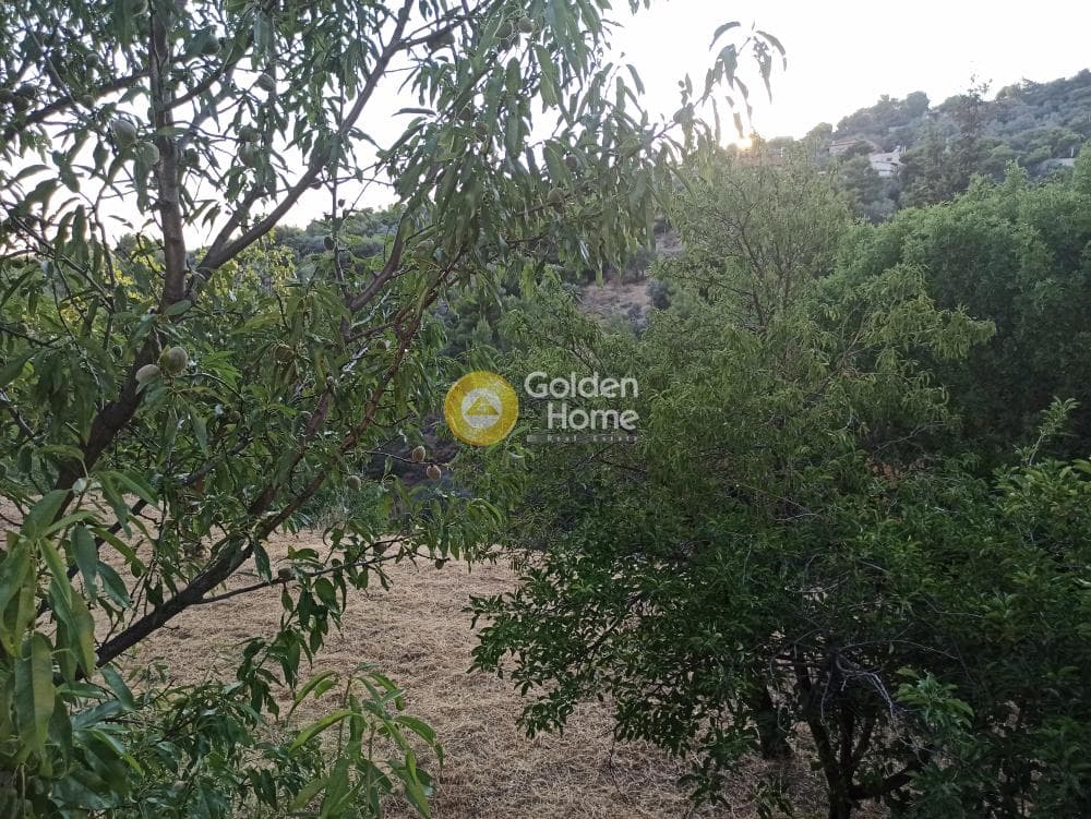 Μονοκατοικία στην Κέντρο, Πεντέλη — Φωτογραφία 35 από 39