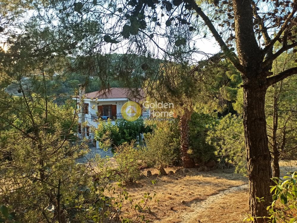 Μονοκατοικία στην Κέντρο, Πεντέλη — Φωτογραφία 39 από 39