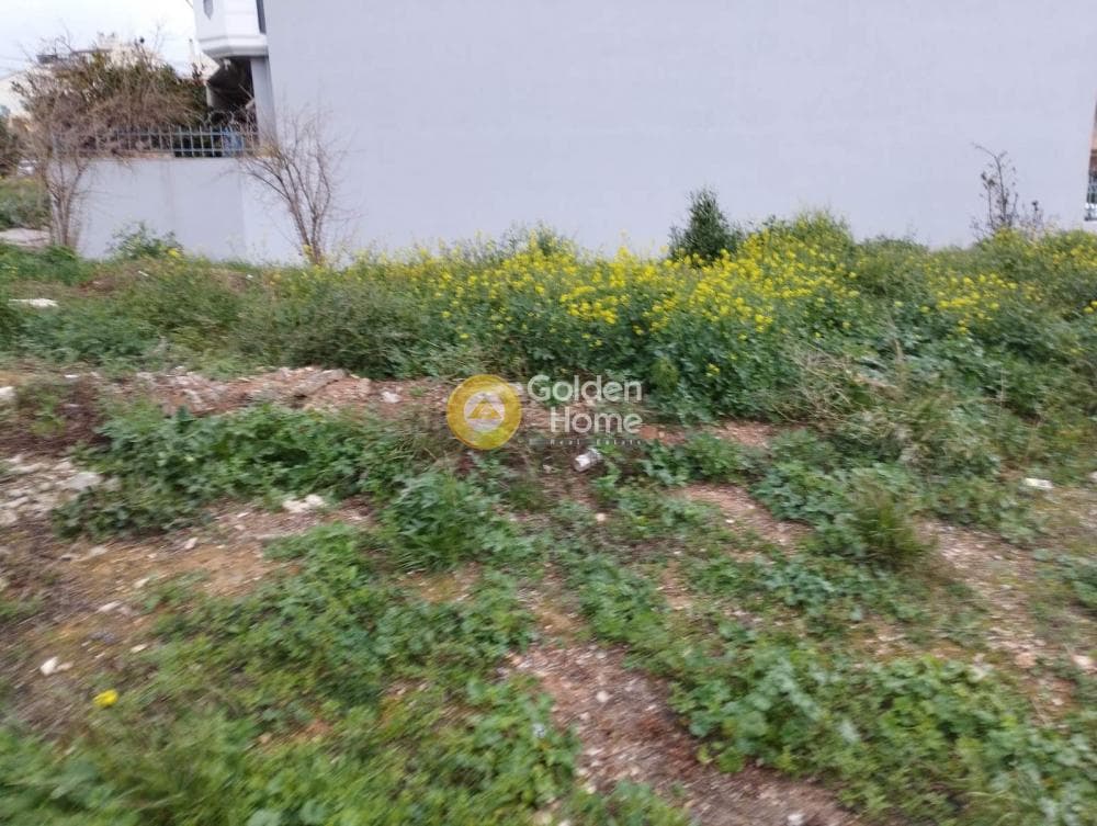 Οικόπεδο στην Πυργούθι, Αχαρνές