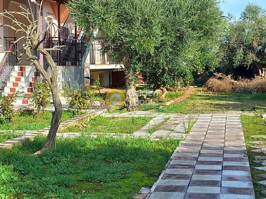 Apartment in Gialos, Dytikis Achaias — Photo 12 of 12
