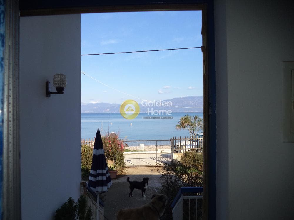 Μονοκατοικία στην Άβυθος, Αίγιο — Φωτογραφία 7 από 12