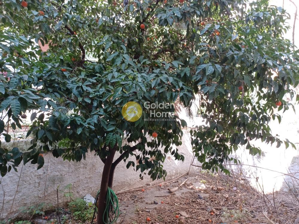 House in Sepolia, Sepolia - Skouze — Photo 26 of 51