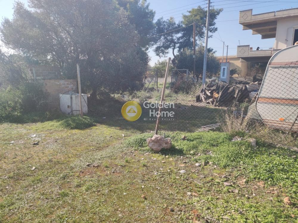 Οικόπεδο στην Άγιος Σεραφείμ, Αρτέμιδα (Λούτσα) — Φωτογραφία 3 από 4