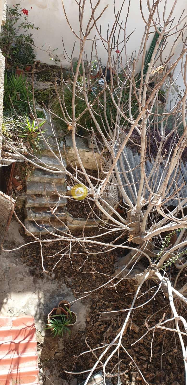 House in Kallimarmaro, Mets - Kalimarmaro — Photo 7 of 8