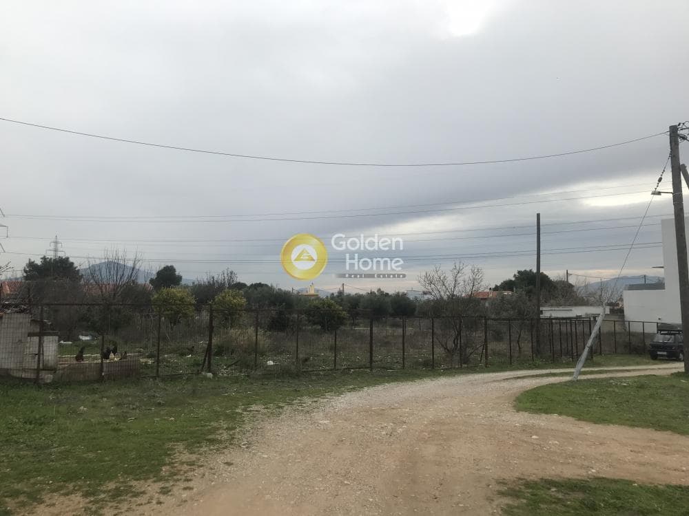 Αγροτεμάχιο στην Μεγάλα Σχοινία Α, Αχαρνές — Φωτογραφία 2 από 11