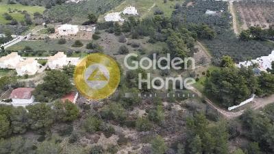 Building Plot in Vergeika, Spetses — Photo 6 of 8