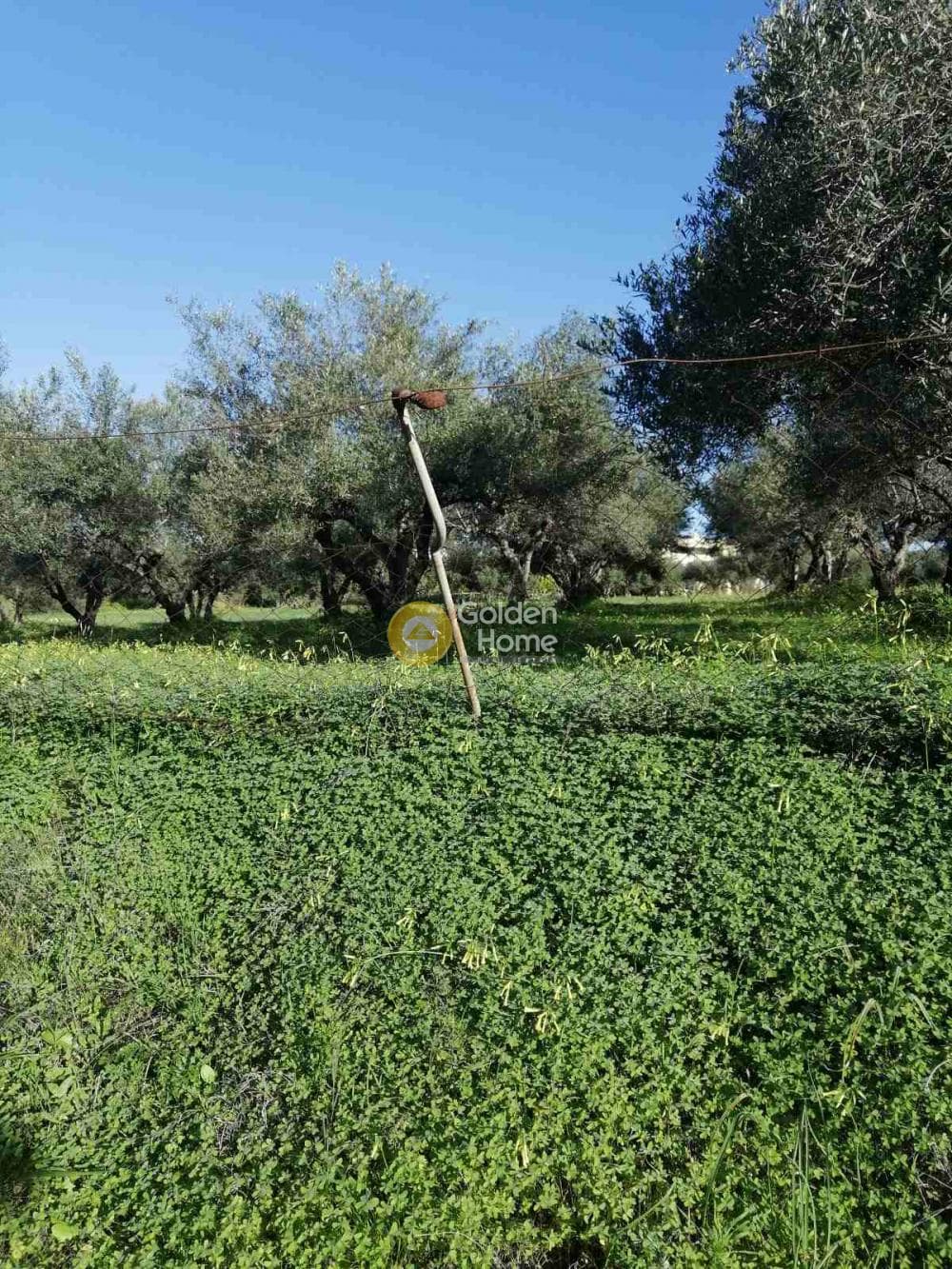 Building Plot in Elia, Episkopi — Photo 1 of 5