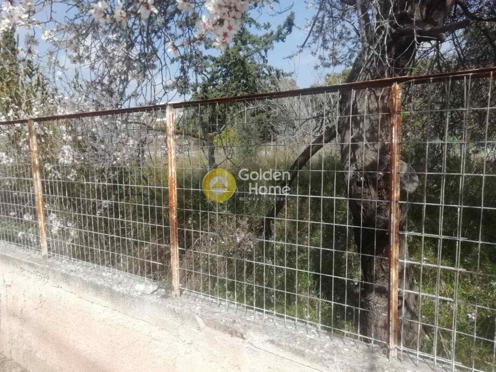 Building Plot in Agia Marina, Koropi — Photo 6 of 23