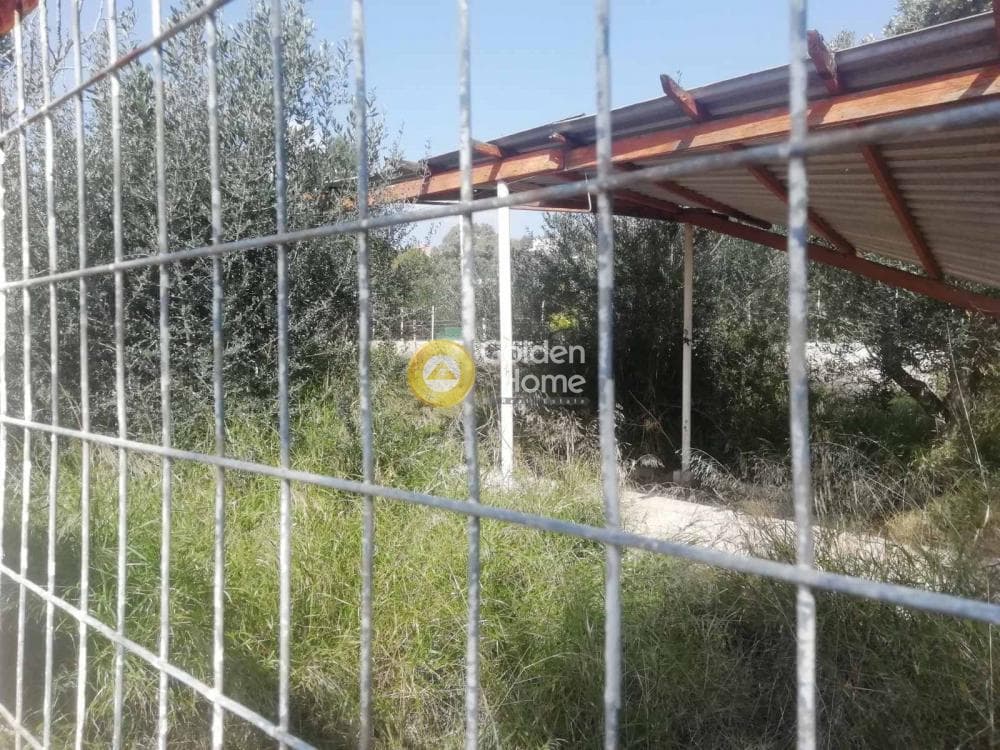 Building Plot in Agia Marina, Koropi — Photo 12 of 23