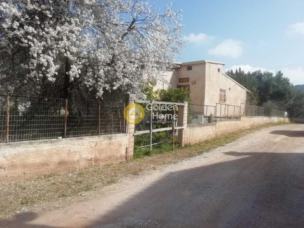 Building Plot in Agia Marina, Koropi — Photo 11 of 23
