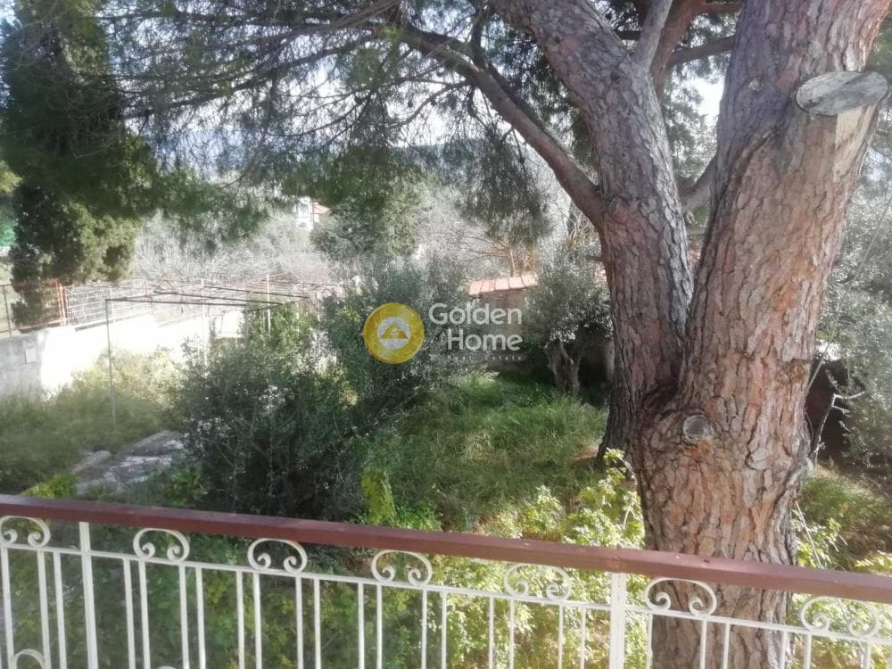 Building Plot in Agia Marina, Koropi — Photo 1 of 23