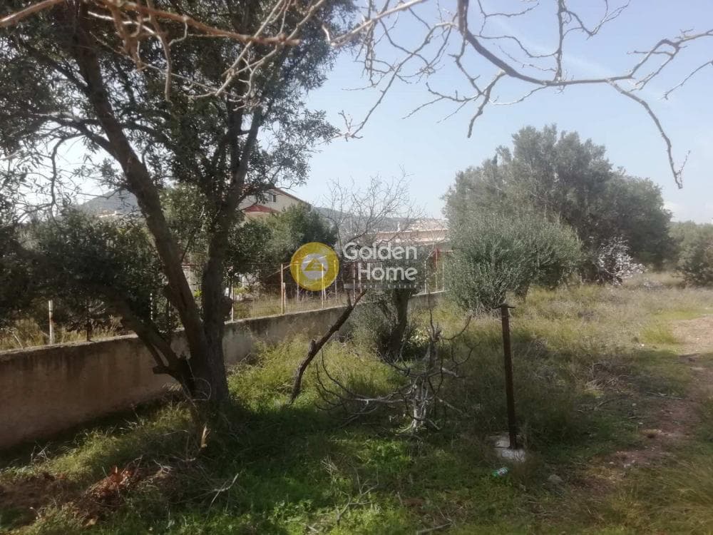 Building Plot in Agia Marina, Koropi — Photo 17 of 23