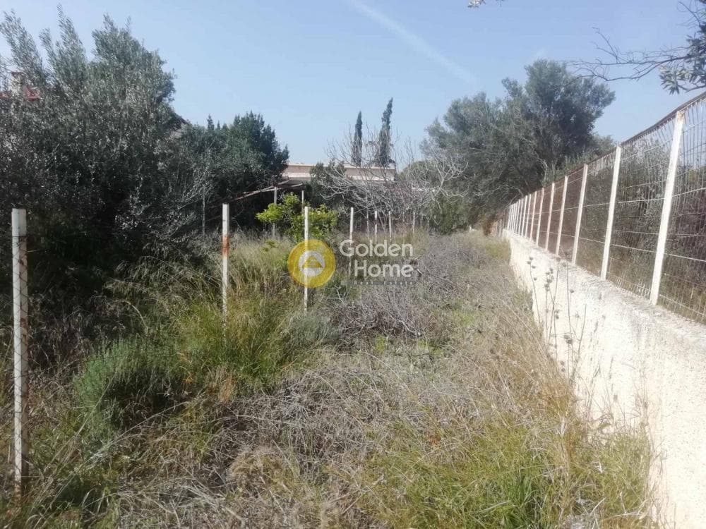 Building Plot in Agia Marina, Koropi — Photo 14 of 23