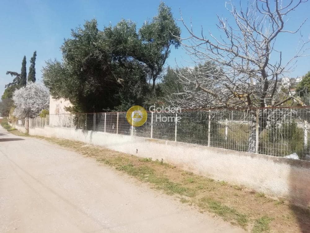 Building Plot in Agia Marina, Koropi — Photo 21 of 23