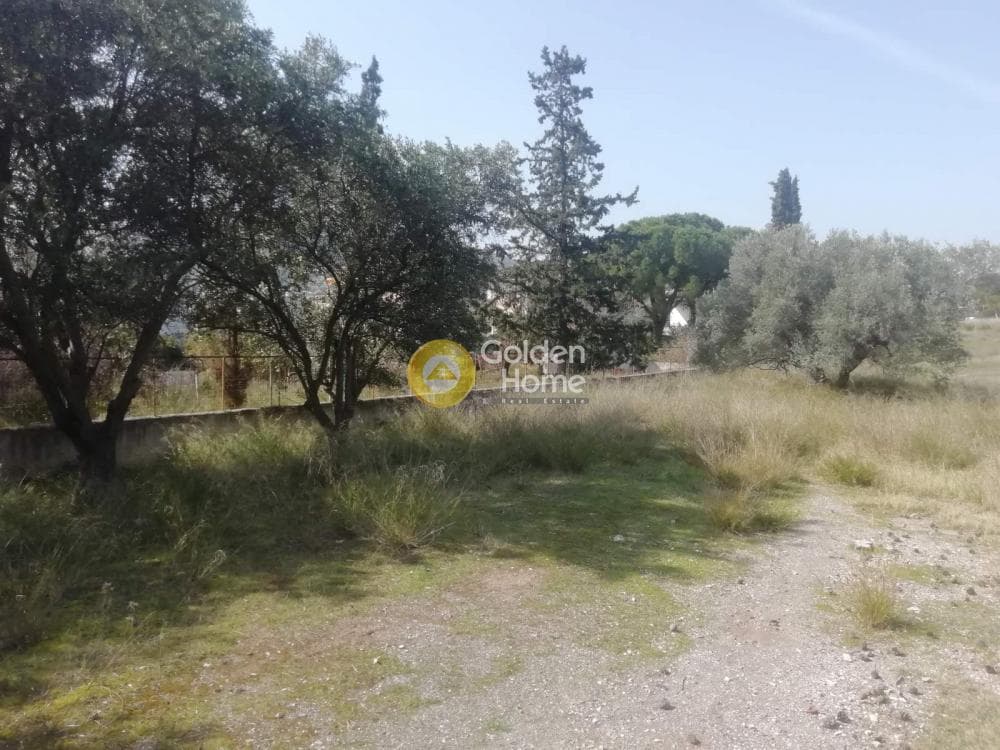 Building Plot in Agia Marina, Koropi — Photo 22 of 23