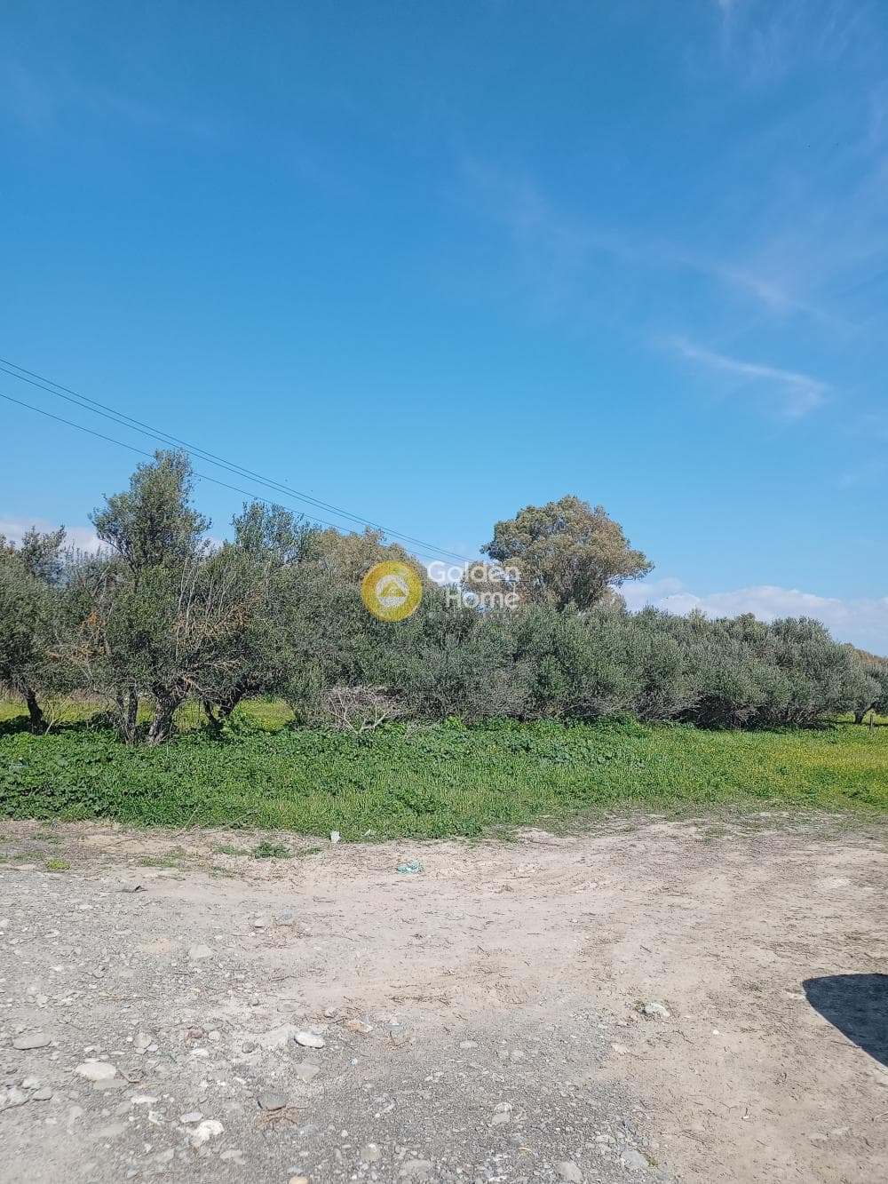 Αγροτεμάχιο στην Κλήμα, Τυμπάκι