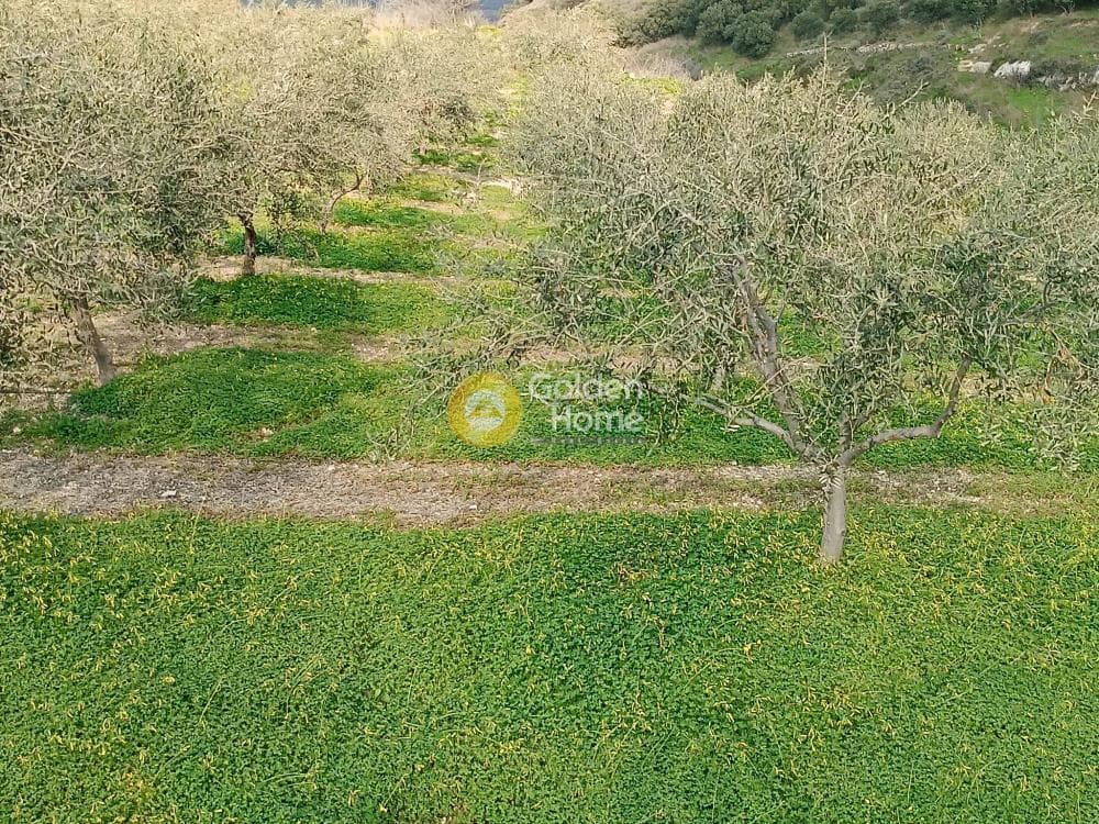 Οικόπεδο στην Βασιλείες, Αρχάνες — Φωτογραφία 2 από 2