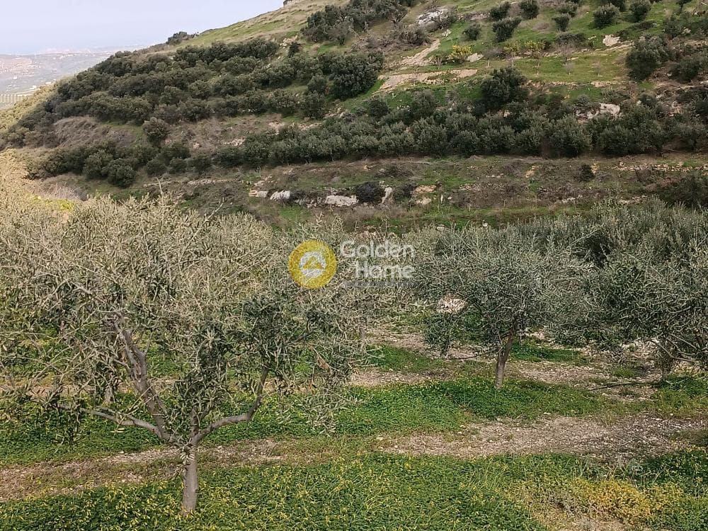 Οικόπεδο στην Βασιλείες, Αρχάνες — Φωτογραφία 1 από 2