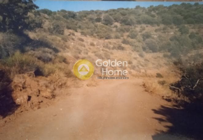 Οικόπεδο στην Φωτημάρι, Κέα — Φωτογραφία 8 από 12
