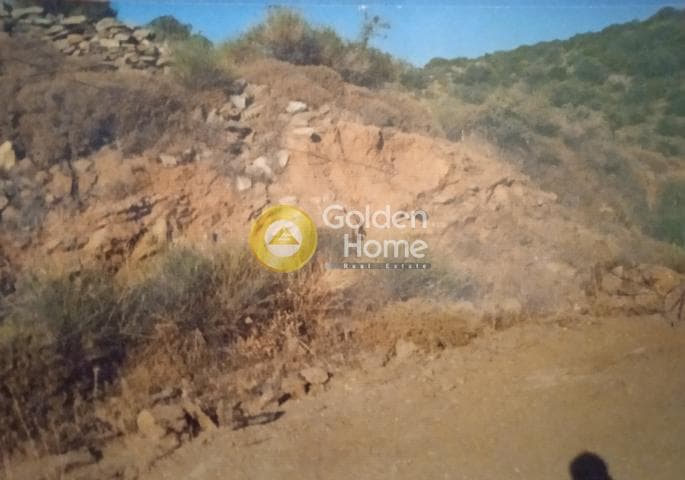 Οικόπεδο στην Φωτημάρι, Κέα — Φωτογραφία 3 από 12