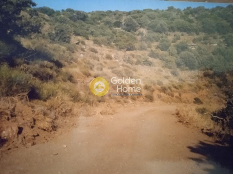 Οικόπεδο στην Φωτημάρι, Κέα — Φωτογραφία 1 από 12